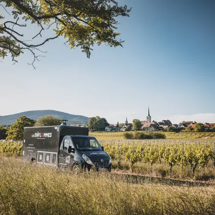 Le camion dans les vignes